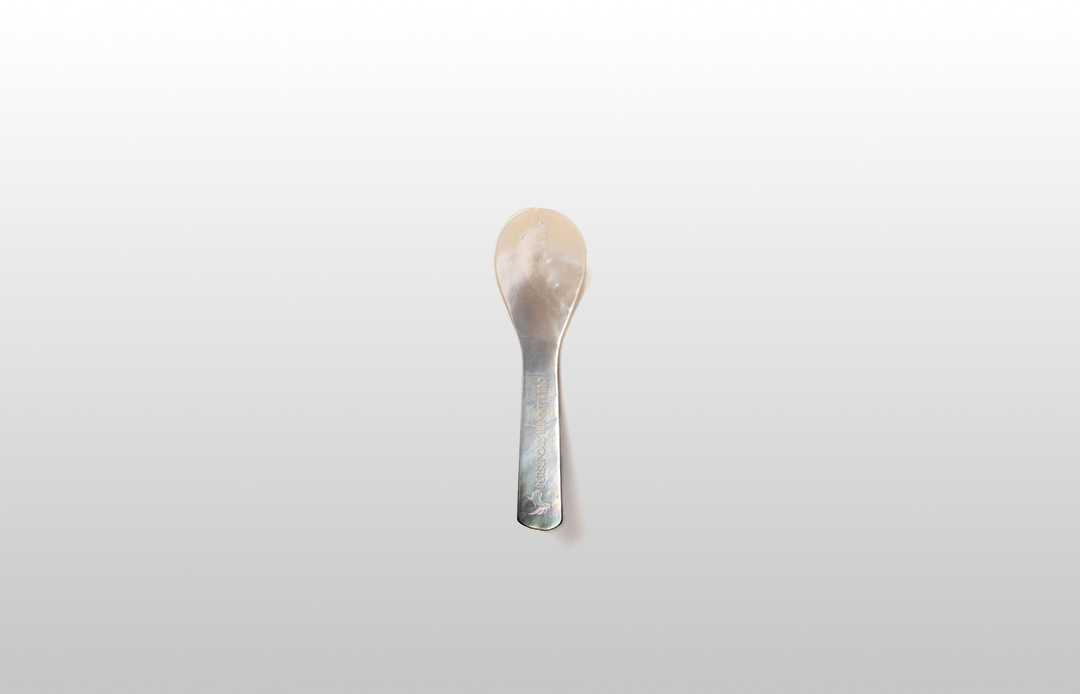 Persepolis Spoons